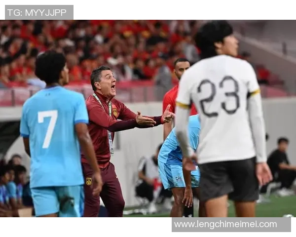 中国与突尼斯足球赛精彩直播录像回顾及赛后分析全记录