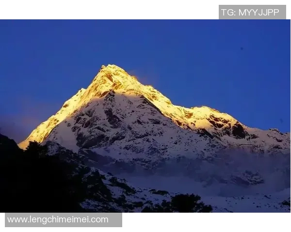 南京极限运动队的蜕变之路与挑战精神的真实纪实